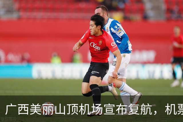 广西美丽山顶机场宣布复航，机票价格低至370元